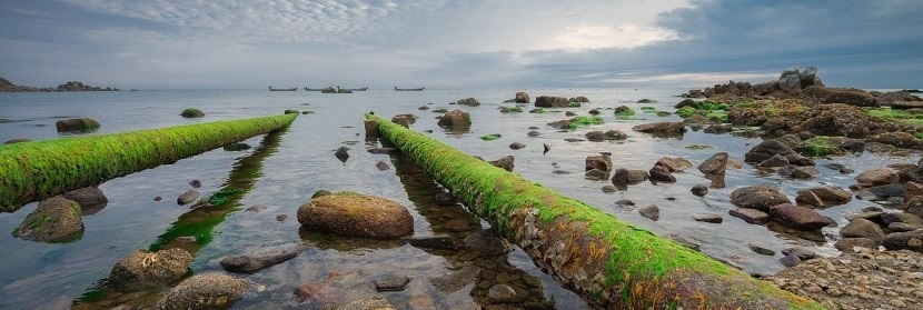 排污口论证