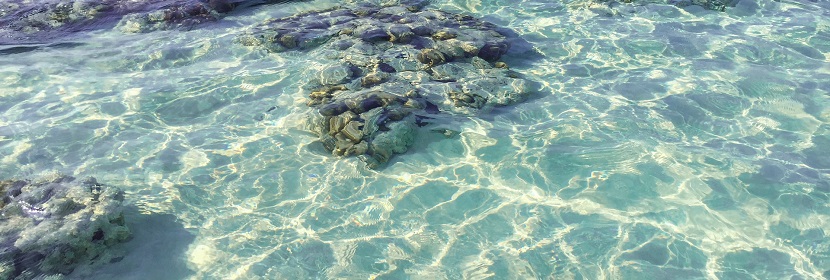 近海水下地形测量