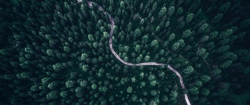 林业碳汇