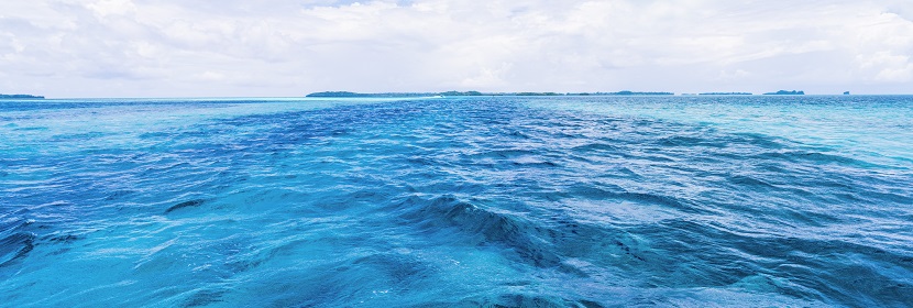 生态毒理测试