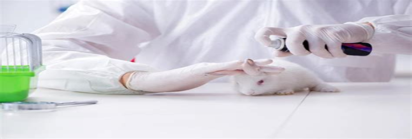 亚急性毒性试验