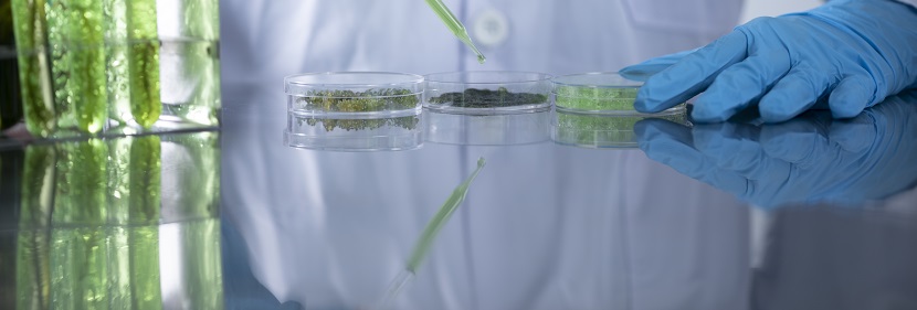 环氧乙烷残留量检测