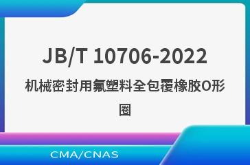JB/T 10706-2022机械密封用氟塑料全包覆橡胶O形圈