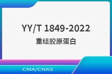 YY/T 1849-2022重组胶原蛋白
