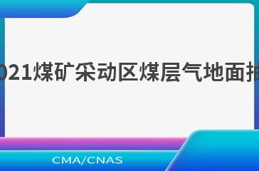 NB/T 10853—2021煤矿采动区煤层气地面抽采井群技术规范