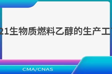 NB/T 10894—2021生物质燃料乙醇的生产工艺与装备选用导则