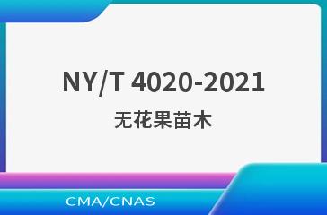 NY/T 4020-2021无花果苗木