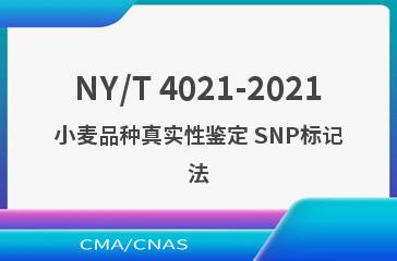 NY/T 4021-2021小麦品种真实性鉴定 SNP标记法