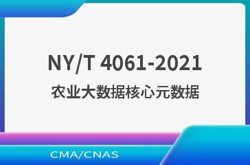 NY/T 4061-2021农业大数据核心元数据
