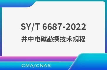 SY/T 6687-2022井中电磁勘探技术规程