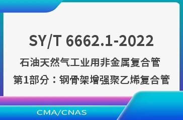 SY/T 6662.1-2022石油天然气工业用非金属复合管 第1部分：钢骨架增强聚乙烯复合管