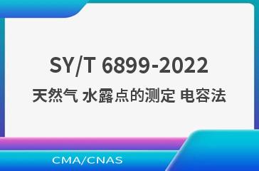 SY/T 6899-2022天然气 水露点的测定 电容法