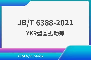 JB/T 6388-2021YKR型圆振动筛