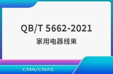 QB/T 5662-2021家用电器线束