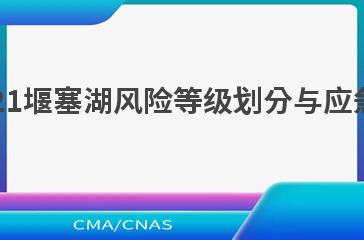 SL/T 450—2021堰塞湖风险等级划分与应急处置技术规范