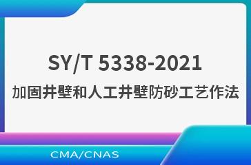 SY/T 5338-2021加固井壁和人工井壁防砂工艺作法