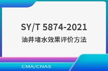 SY/T 5874-2021油井堵水效果评价方法