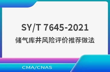 SY/T 7645-2021储气库井风险评价推荐做法
