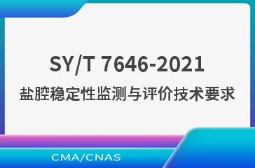 SY/T 7646-2021盐腔稳定性监测与评价技术要求