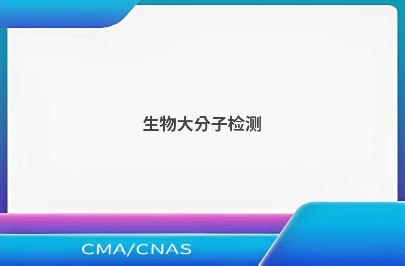 生物大分子检测