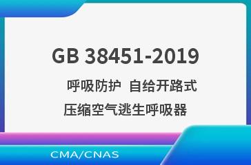 GB 38451-2019    呼吸防护  自给开路式压缩空气逃生呼吸器