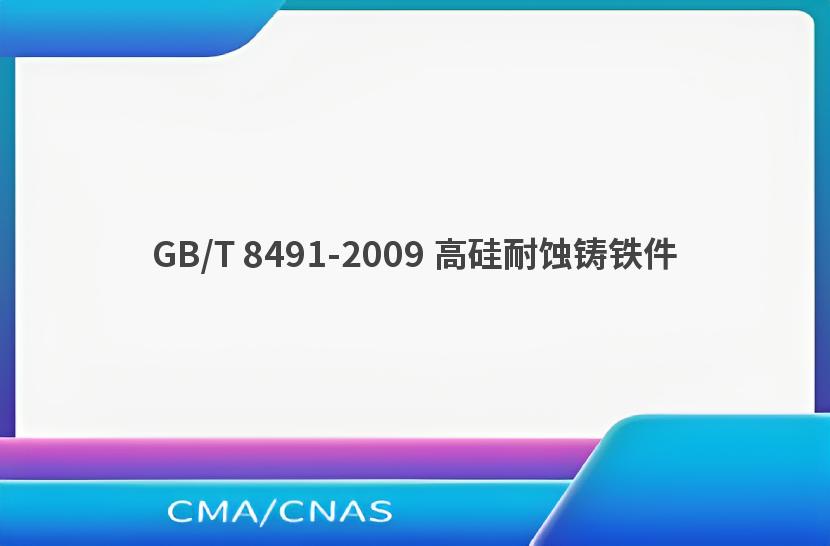 GB/T 8491-2009 高硅耐蚀铸铁件
