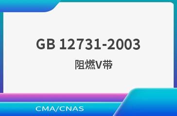 GB 12731-2003    阻燃V带
