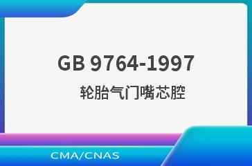GB 9764-1997    轮胎气门嘴芯腔